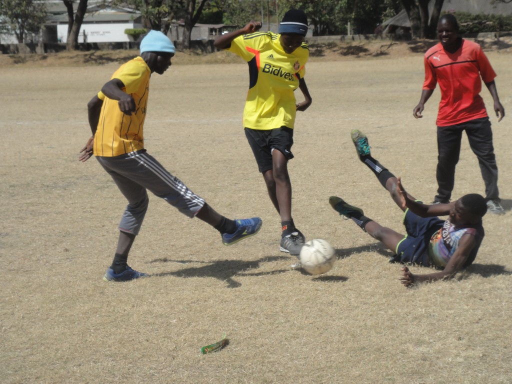 Partners and collaborators